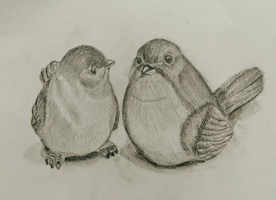 Birdes