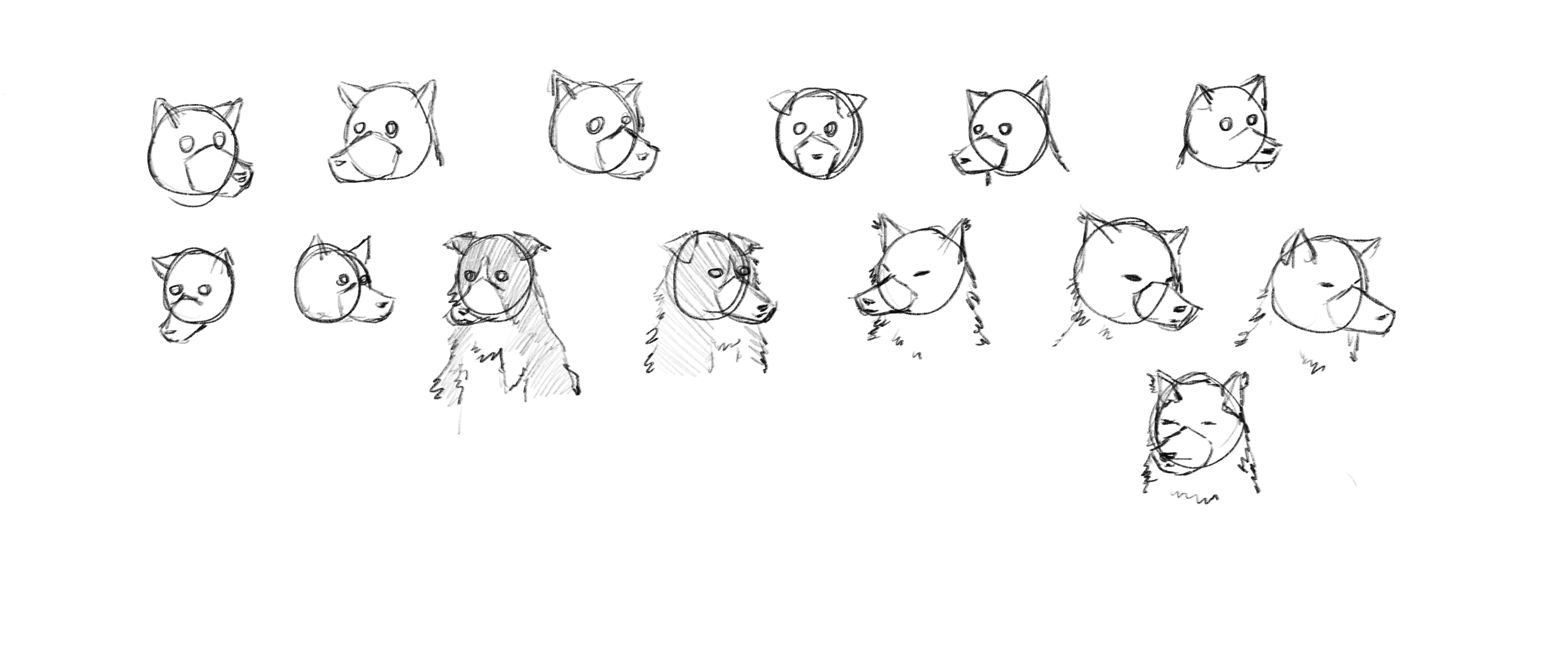 Canids