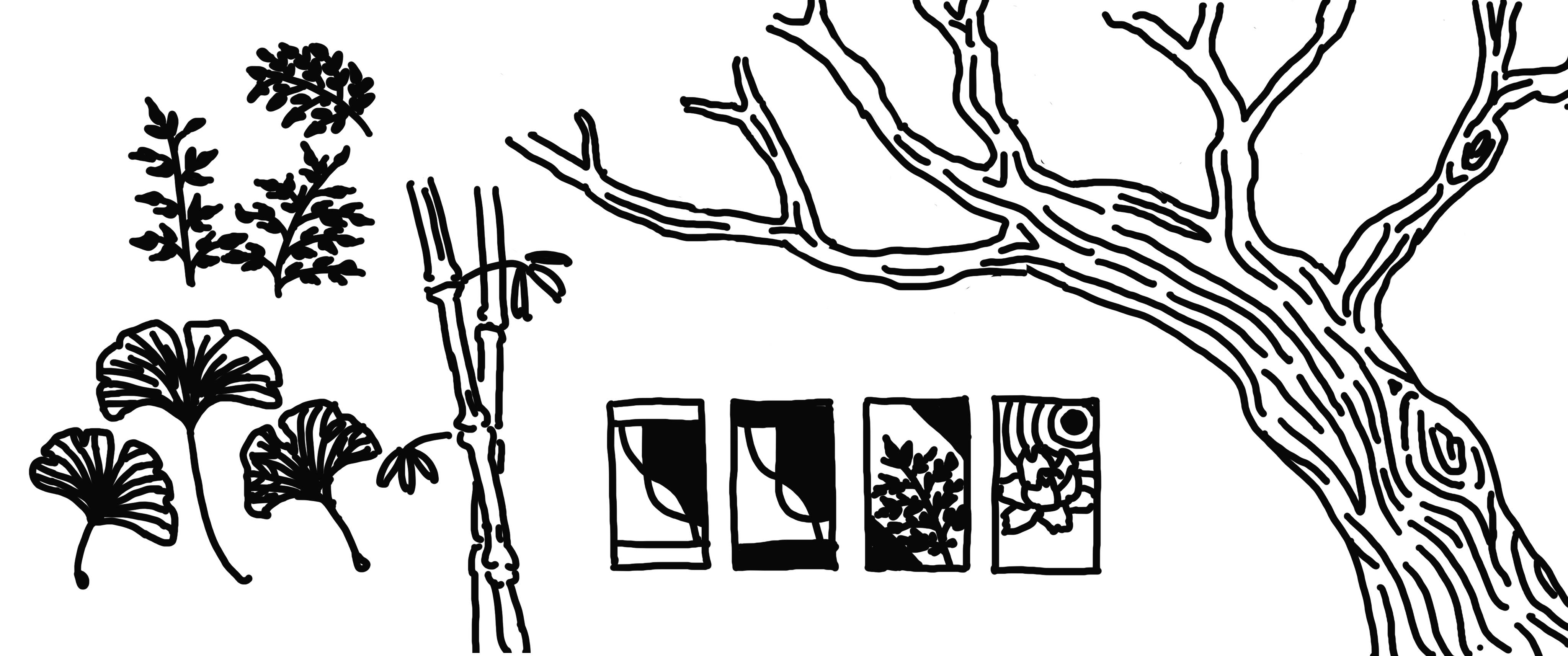 Ginko